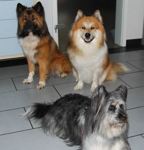 Elo Aponi, Bo und Elli